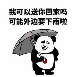 示例图片